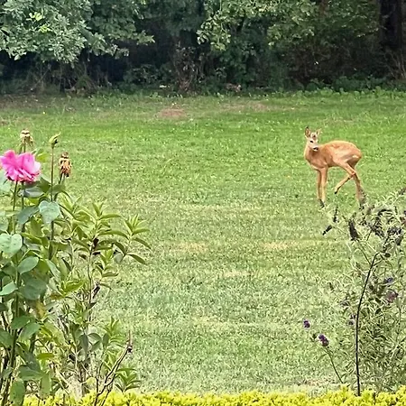 Le Clos Des Buis De Charme Azul Cazals (Lot)